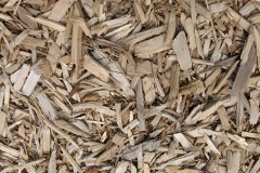 biomass boilers Onibury
